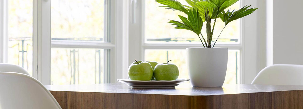 Homepage Fa. Tischlerei Tobias Brauer: Startbild